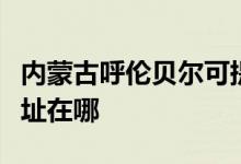 內(nèi)蒙古呼倫貝爾可提供三星洗衣機(jī)維修服務(wù)地址在哪