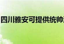 四川雅安可提供統(tǒng)帥洗衣機維修服務(wù)地址在哪