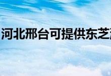 河北邢臺可提供東芝洗衣機(jī)維修服務(wù)地址在哪