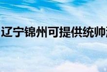 遼寧錦州可提供統(tǒng)帥洗衣機維修服務(wù)地址在哪