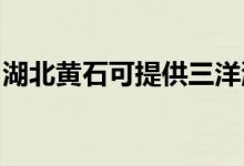 湖北黃石可提供三洋洗衣機維修服務(wù)地址在哪