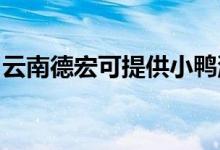 云南德宏可提供小鴨洗衣機(jī)維修服務(wù)地址在哪