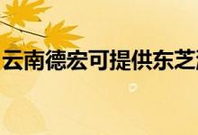 云南德宏可提供東芝洗衣機(jī)維修服務(wù)地址在哪