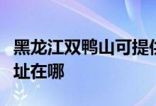 黑龍江雙鴨山可提供澳柯瑪洗衣機維修服務(wù)地址在哪