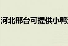 河北邢臺可提供小鴨洗衣機維修服務地址在哪