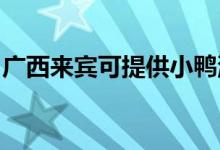 廣西來賓可提供小鴨洗衣機維修服務地址在哪
