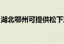 湖北鄂州可提供松下洗衣機(jī)維修服務(wù)地址在哪