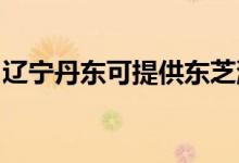 遼寧丹東可提供東芝洗衣機(jī)維修服務(wù)地址在哪