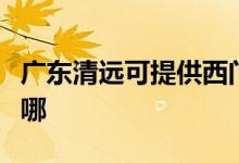 廣東清遠可提供西門子洗衣機維修服務地址在哪