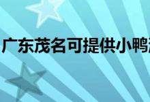 廣東茂名可提供小鴨洗衣機維修服務地址在哪