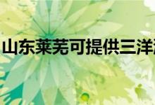 山東萊蕪可提供三洋洗衣機維修服務(wù)地址在哪