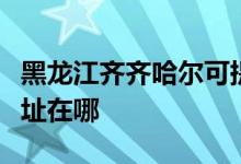 黑龍江齊齊哈爾可提供松下洗衣機(jī)維修服務(wù)地址在哪