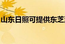 山東日照可提供東芝洗衣機(jī)維修服務(wù)地址在哪