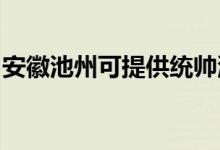安徽池州可提供統(tǒng)帥洗衣機維修服務(wù)地址在哪