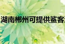 湖南郴州可提供鯊客清潔機(jī)維修服務(wù)地址在哪