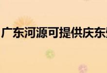 廣東河源可提供慶東壁掛爐維修服務地址在哪