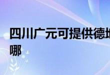 四川廣元可提供德地氏壁掛爐維修服務地址在哪