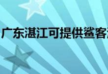 廣東湛江可提供鯊客清潔機(jī)維修服務(wù)地址在哪