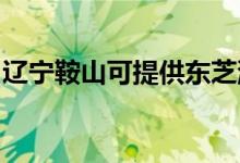 遼寧鞍山可提供東芝洗碗機維修服務(wù)地址在哪