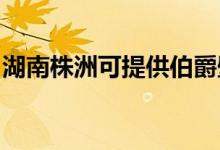 湖南株洲可提供伯爵壁掛爐維修服務地址在哪