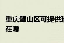 重慶璧山區(qū)可提供瑞帝安壁掛爐維修服務(wù)地址在哪