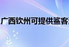 廣西欽州可提供鯊客清潔機(jī)維修服務(wù)地址在哪