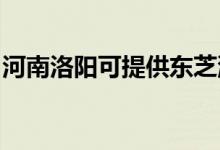 河南洛陽可提供東芝洗碗機維修服務(wù)地址在哪