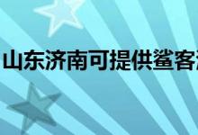 山東濟(jì)南可提供鯊客清潔機(jī)維修服務(wù)地址在哪