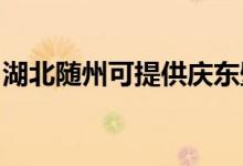 湖北隨州可提供慶東壁掛爐維修服務地址在哪