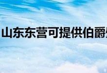 山東東營可提供伯爵壁掛爐維修服務地址在哪