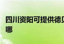 四川資陽可提供德貝得壁掛爐維修服務地址在哪