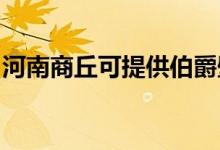 河南商丘可提供伯爵壁掛爐維修服務地址在哪