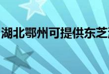 湖北鄂州可提供東芝洗碗機維修服務(wù)地址在哪