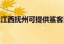 江西撫州可提供鯊客清潔機(jī)維修服務(wù)地址在哪