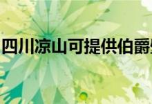 四川涼山可提供伯爵壁掛爐維修服務地址在哪