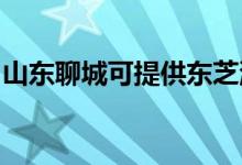 山東聊城可提供東芝洗碗機維修服務(wù)地址在哪