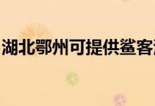 湖北鄂州可提供鯊客清潔機(jī)維修服務(wù)地址在哪