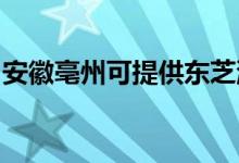 安徽亳州可提供東芝洗碗機維修服務地址在哪