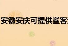 安徽安慶可提供鯊客清潔機(jī)維修服務(wù)地址在哪