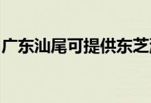 廣東汕尾可提供東芝洗碗機維修服務(wù)地址在哪