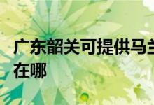 廣東韶關(guān)可提供馬蘭士家庭影院維修服務(wù)地址在哪