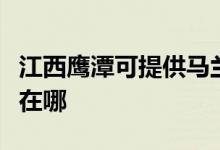 江西鷹潭可提供馬蘭士家庭影院維修服務(wù)地址在哪