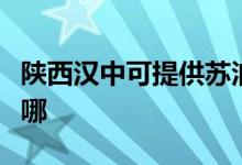 陜西漢中可提供蘇泊爾吸塵器維修服務(wù)地址在哪
