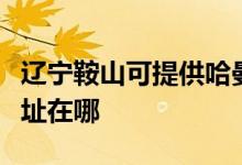 遼寧鞍山可提供哈曼卡頓家庭影院維修服務地址在哪