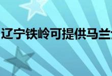 遼寧鐵嶺可提供馬蘭士音響維修服務(wù)地址在哪