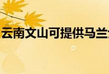 云南文山可提供馬蘭士音響維修服務地址在哪