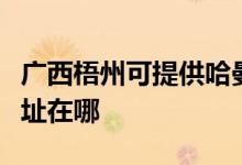 廣西梧州可提供哈曼卡頓家庭影院維修服務(wù)地址在哪