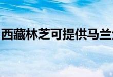 西藏林芝可提供馬蘭士音響維修服務地址在哪