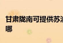 甘肅隴南可提供蘇泊爾吸塵器維修服務(wù)地址在哪