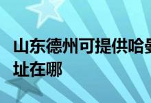 山東德州可提供哈曼卡頓家庭影院維修服務地址在哪